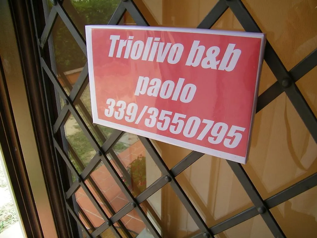 Triolivo B&B Lucca