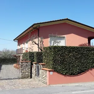 Serena Capannori